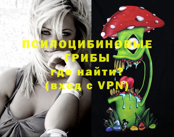 ПСИЛОЦИБИНОВЫЕ ГРИБЫ Зеленодольск