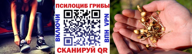 дарк нет как зайти  Октябрьский  Галлюциногенные грибы MAGIC MUSHROOMS  кракен маркетплейс 